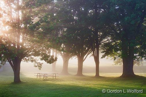 Trees At Edmonds Lock_17315.jpg - Rideau Canal Waterway photographed near Smiths Falls, Ontario, Canada.